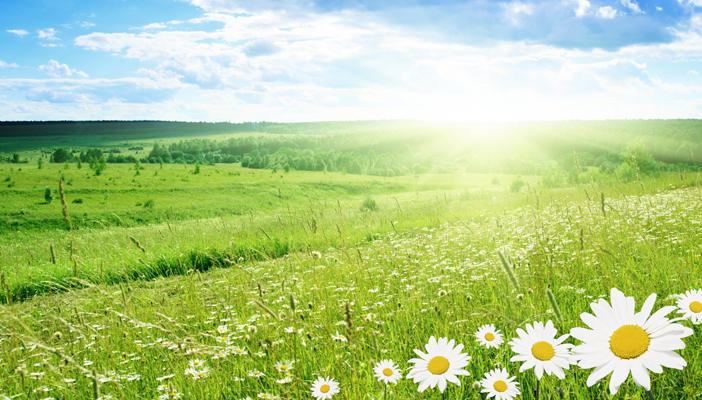 الأرصاد: طقس ربيعي والعظمى بالقاهرة 32