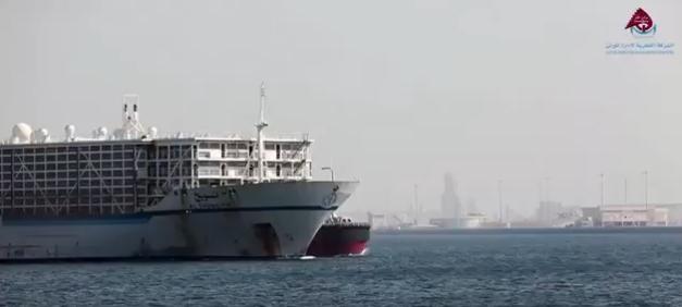 بالفيديو.. وصول 32 ألف رأسا من الماشية إلى قطر لمواجهة الحصار