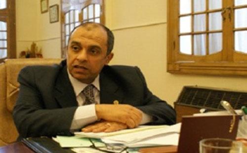 نائب رئيس جامعة القاهرة: إفريقيا عانت كثيرا من إهمال مصر