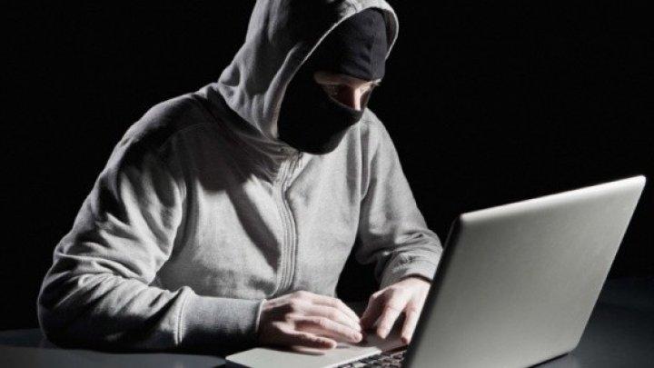 السجن 25 عامًا لكوسوفي بأميركا بتهمة مساعدة “تنظيم الدولة”