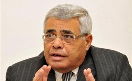 نافعة لمرسي:لن تستطيع لعب دور دولى إلا إذا استقرت الجبهة الداخلية