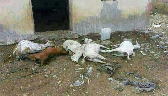 أهالي قرية “البسيونية” يغادرون منازلهم بسبب “الجن”