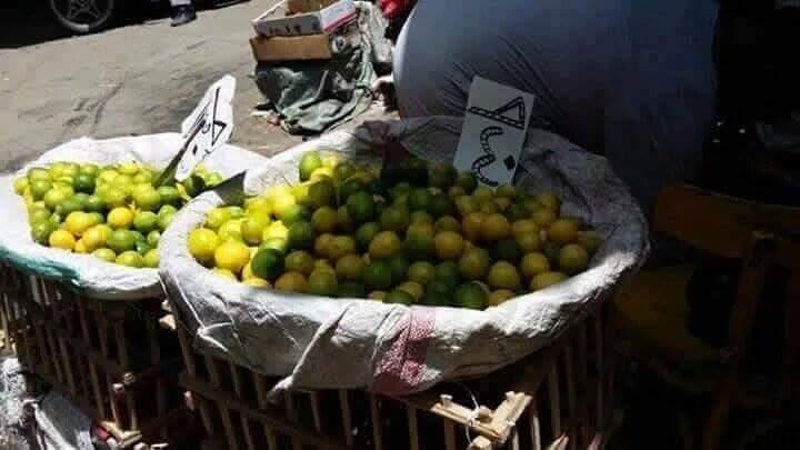 كيلو الليمون بـ 40 جنيهًا..و”الفيس” يسخر: مخطط لضرب الاقتصاد المصري