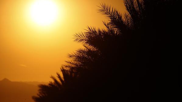 “الأرصاد”:طقس الغد شديد الحرارة نهارًا معتدل ليلًا