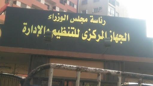 “التنظيم والإدارة”: العاملون بالقطاع المنظم 16.9% ذكور و6.4% إناث