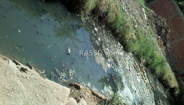 فلاحو بني سويف: احنا بنروي الزرع “زبالة”