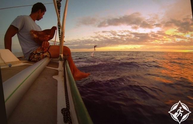 بالصور.. ” سوديى” يصطحب دجاجته “مونيك” في رحلاته حول العالم