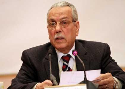 الدستورية العليا: لا توجد دعوى لدينا لاعتماد استمارات تمرد