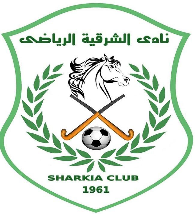 رسميًا: طنطا والشرقية يحسمان مصيرهما في «الدوي الممتاز»