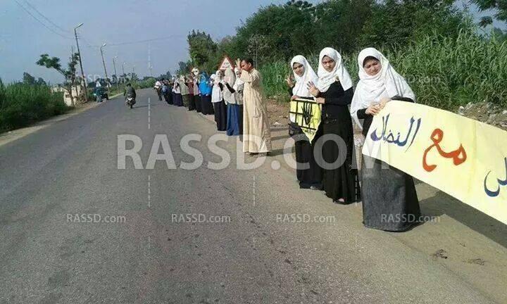 تدشين حملة “جرافيت” للحشد ليوم 3 يوليو القادم بـ”المنوفية”