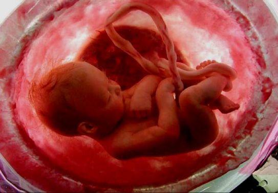 دراسة: أدوية علاج العقم تعرض الأجنة للأمراض النفسية