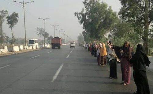 سلسلة بشرية في بركة السبع بالمنوفية صباح ذكرى الانقلاب