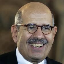 “تمرد” تختار البرادعي رئيسا للحكومة الانتقالية