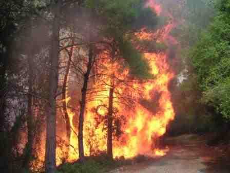 حريق بمنطقة غابات على الحدود التركية إثر قصف للقوات السورية