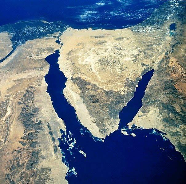 إلقاء القبض على7لإطلاق الخرطوش والغاز على الجيش بسيناء