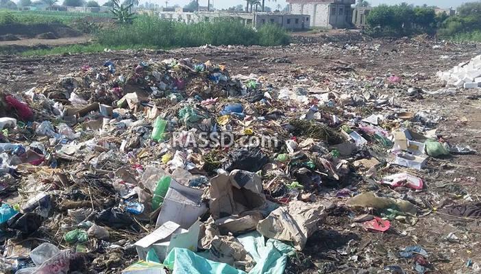 القمامة تحول “تلت” بني سويف إلى مستنقع للأوبئة