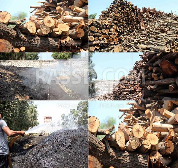 صناعة الفحم بعد الانقلاب وتأثرها برفع الأسعار