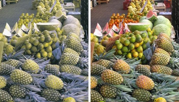 تعرف علي أسباب الإصابة بـ”عمى الألوان”