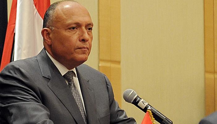 شكري لوزير خارجية إيطاليا: الحكومة مسؤولة عن تأمين البعثات الأجنبية