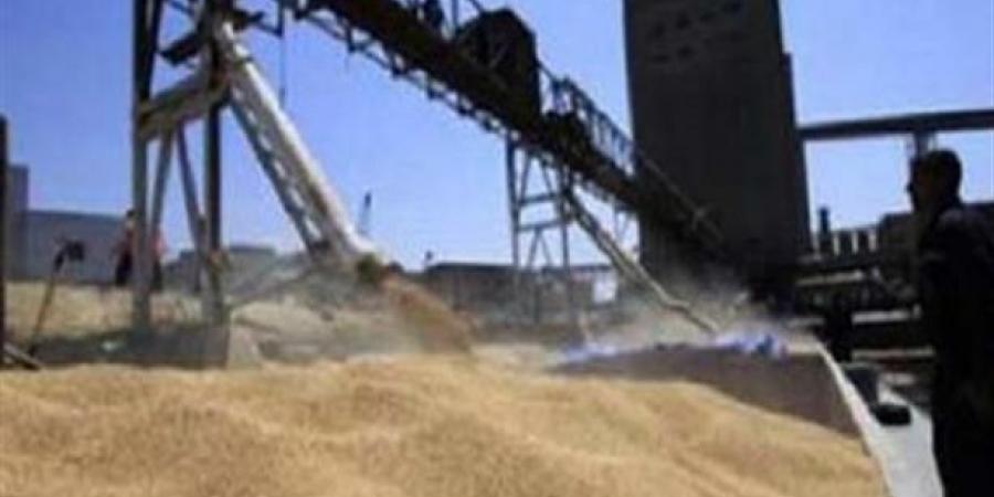 بعد كشف الفساد.. النائب العام يقرر حبس المتورطين بمخالفات صوامع القمح