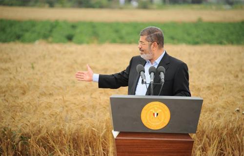 الاكتفاء الذاتي من القمح.. حلم قتلته «البيادة»