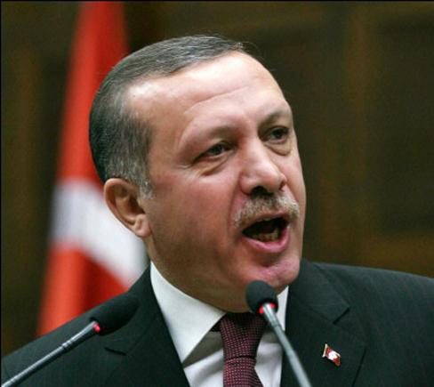 صحيفة تركية: «أردوغان» رفض مقابلة «البرادعي»