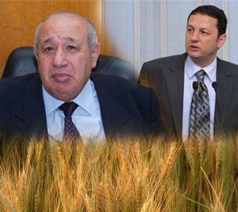 التموين..من الاكتفاء الذاتي للقمح إلى عبودية الاستيراد