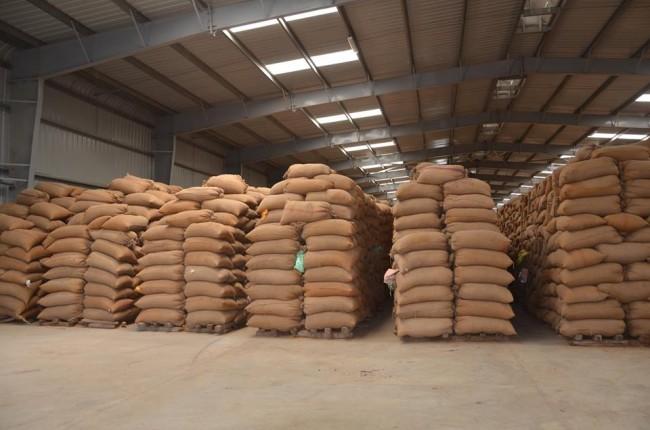 السرقة والسرطان يحاصران قمح المصريين