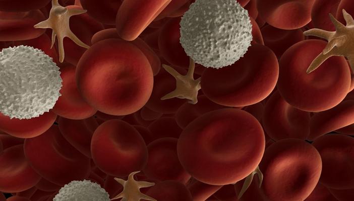 باحثون بريطانيون يتوصلون لعلاج جديد لـ سرطان الدم