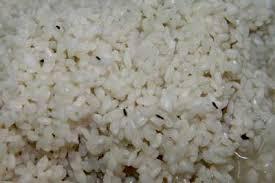 شركة الأرز لوزير التموين: الحشرات بتاكل المخازن وانت مش فاهم حاجة