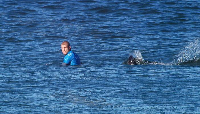 بالفيديو.. بطل العالم في ركوب الأمواج ينجو بأعجوبة من سمكة قرش