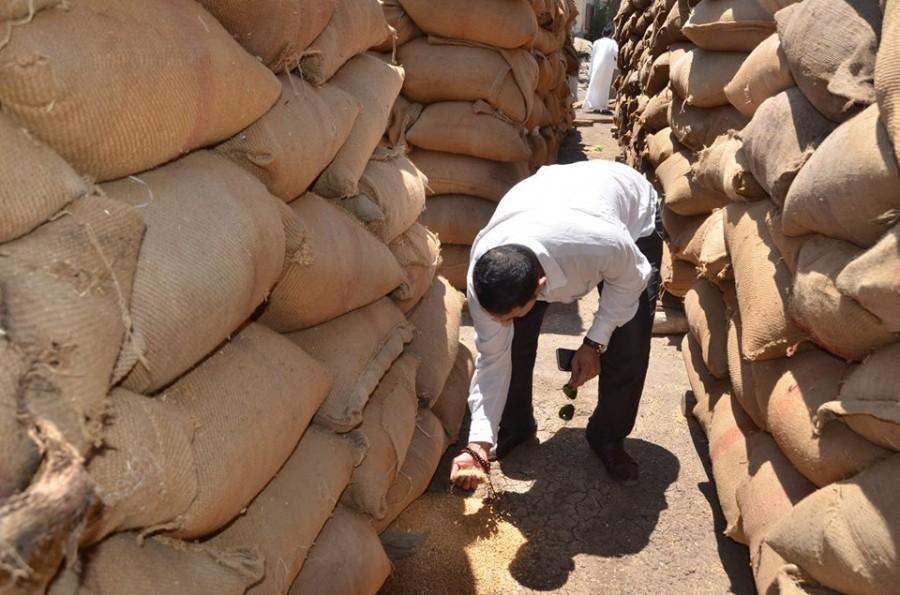 النيابة تكلف المكتب الفني بكشف “مافيا القمح” في وزارة التموين