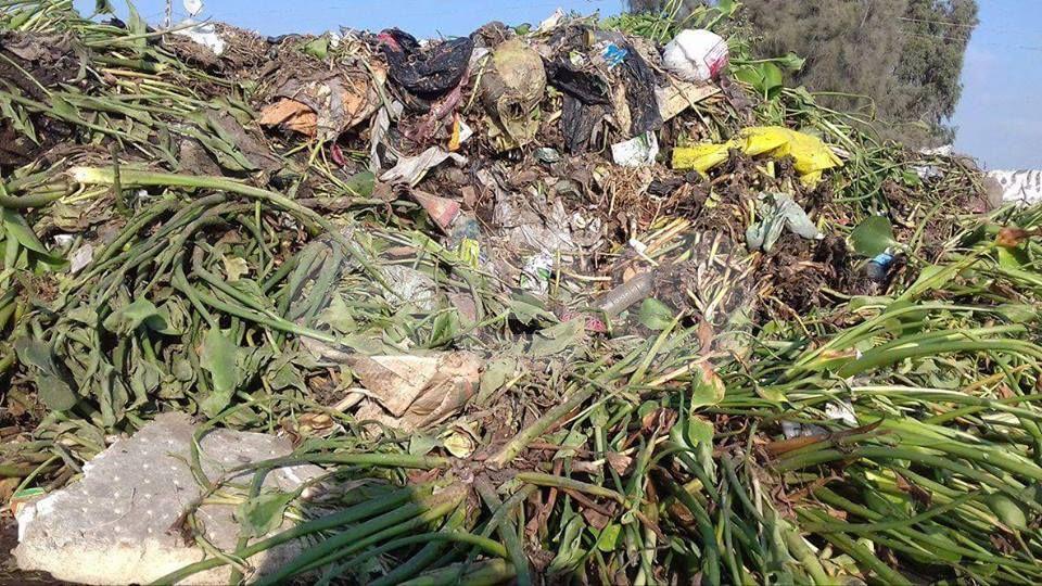 بالصور.. القمامة تغزو شوارع قرى “الدلنجات” بالبحيرة