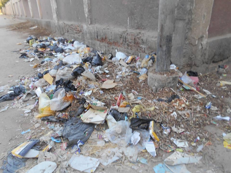 القمامة تحاصر شوارع أسيوط .. والأهالي: “هنموت من الريحه”