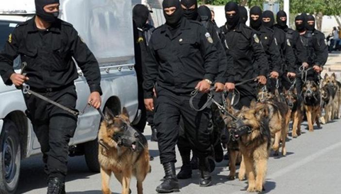 مطار القاهرة يستقبل 1400 كلب بلجيكي لتأمين السيسي في حفل افتتاح القناة