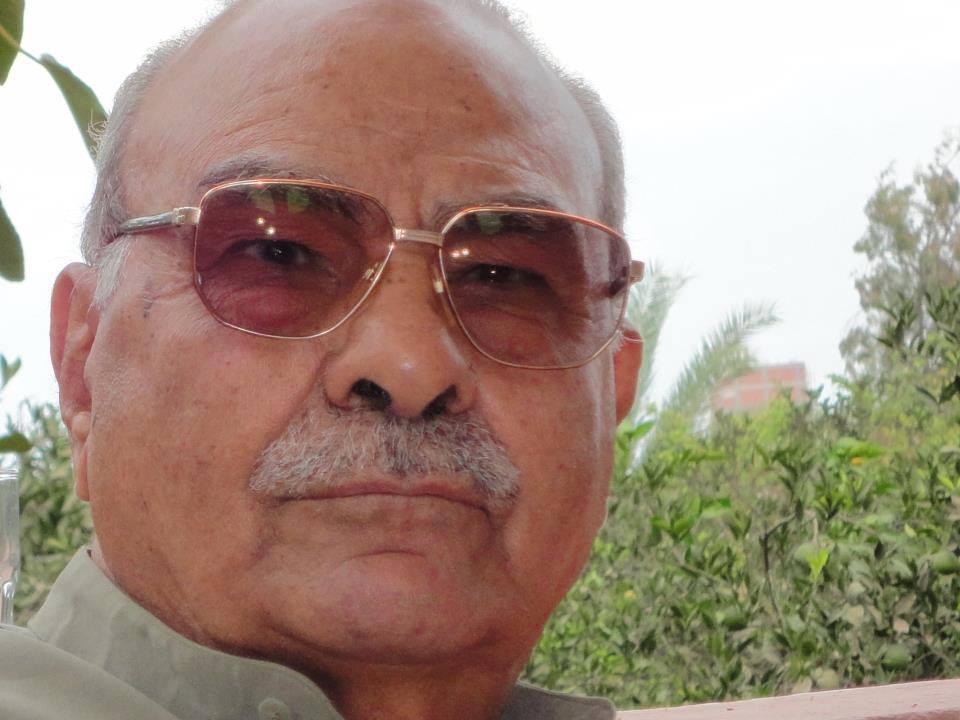 عمارة: الصهيونية تشغل الجيوش العربية بمحاربة التيارات الإسلامية