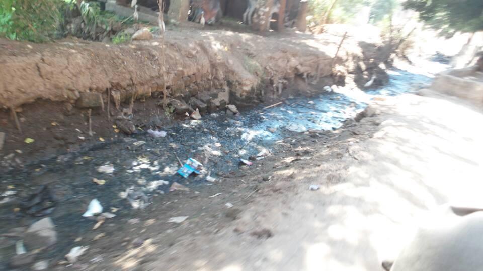 بني سويف.. أهالي قرية “بني حدير” يصرخون “أرضنا بتبور وولادنا هيموتوا”