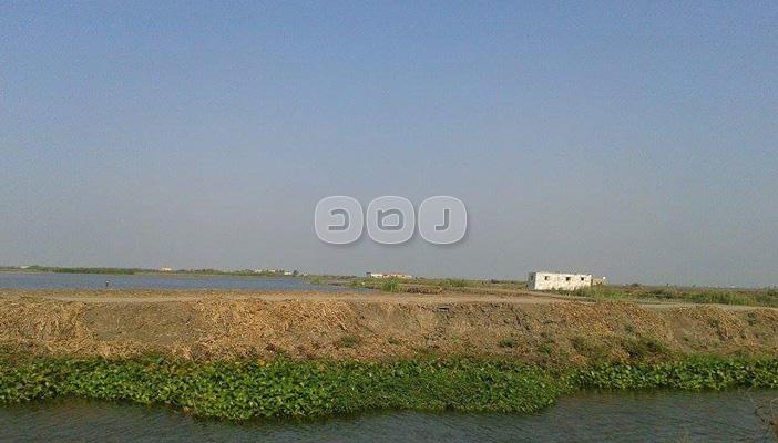 ​بحيرة المنزلة.. تحت سيطرة البلطجية ولا مكان للصيادين