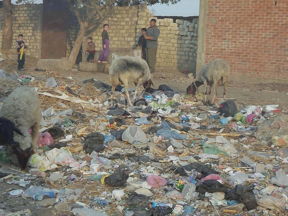 أهالى “عزبة العرب” ‫بالشرقية‬ يشكون من تدني مستوي الخدمات
