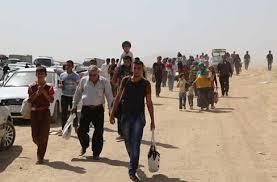 “الجارديان”: قمع وتهجير للسنة والمسيحيين بالعراق بعد سيطرة “داعش”