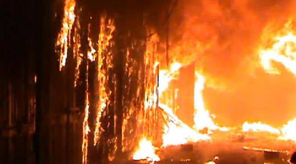 احتراق 1000 شجرة نخيل مثمرة بالوادى الجديد