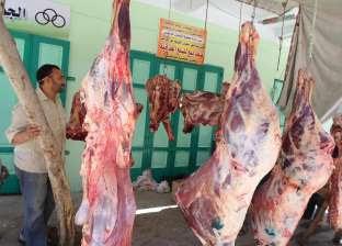 تعرَّف على أسعار الأسماك واللحوم والخضراوات بسوق العبور