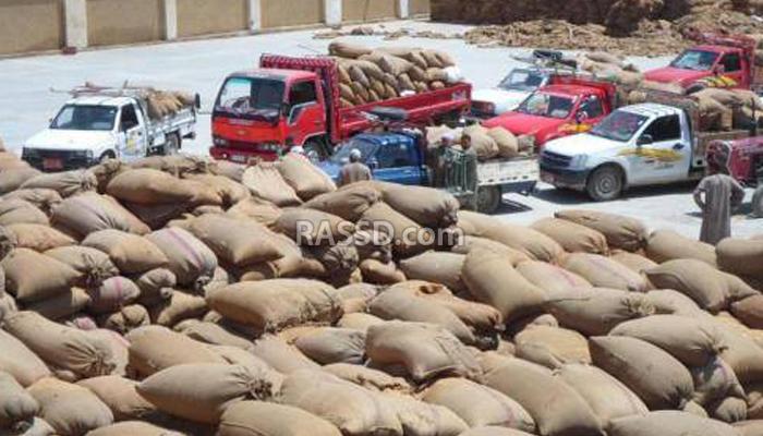 ترتكب 4 جرائم.. عصابات تخزين القمح في الشرقية ترتع في عهد الفساد