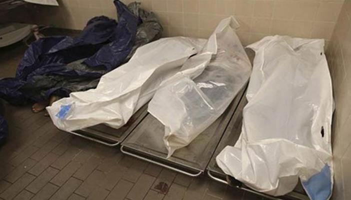 أطباء يرجحون انتشار فيروس قاتل بمصر جراء موجة الحر