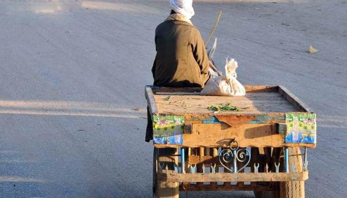 محافظ القاهرة يحظر سير”عربات الكار” ويأمر بتسليم بضائعها لدور الأيتام