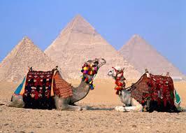 بسبب الانقلاب.. السياحة تهبط 24.7% في النصف الأول من العام