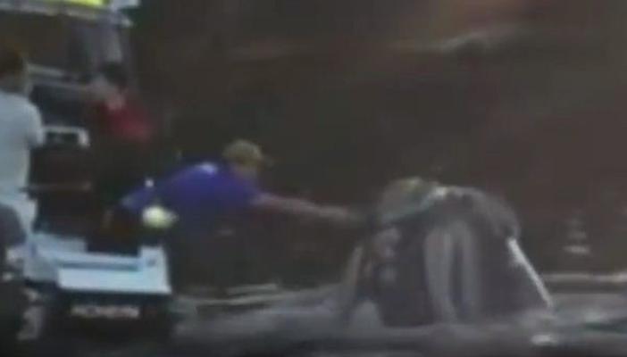 بالفيديو.. حوت يطلب النجاة من صيادين استراليين