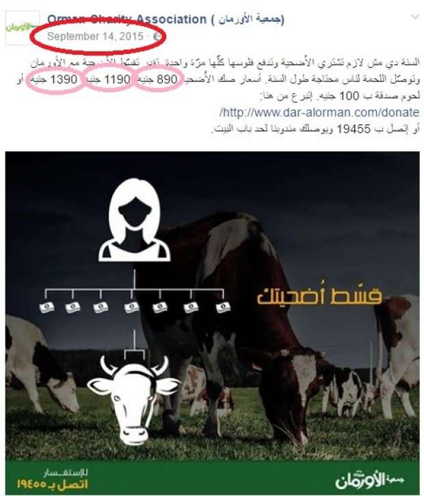 بسبب ارتفاع الأسعار.. مؤسسات العمل الخيري تتجه لتقسيط قيمة صك الأضحية