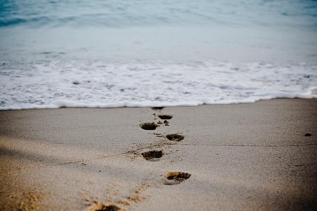 أعيش لأجدني – سامية أنور دنون