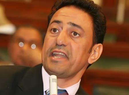 أبو بركة يدعوا لتحقيق دولي في مجازر الانقلابيين